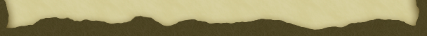 Perfect-Zelda_diz_border_down