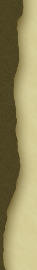 Perfect-Zelda_diz_border_left_down