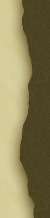 Perfect-Zelda_diz_border_left_down