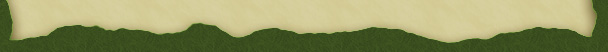 Perfect-Zelda_diz_border_down