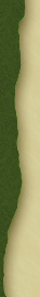 Perfect-Zelda_diz_border_left_down