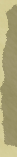 Perfect-Zelda_news_right